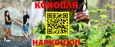 spice Коммунар