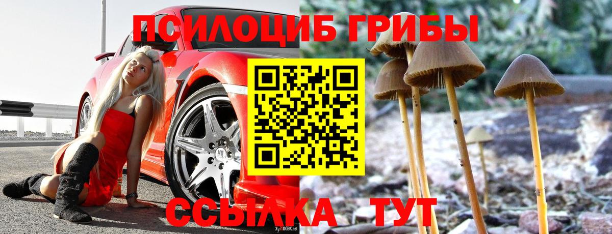 Галлюциногенные грибы ЛСД Мариинск